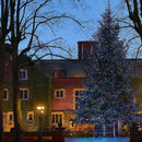 Luzes de Fada Core Connect – 80 m com Temporizador e 8 Efeitos