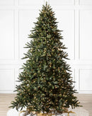 Árvore de Natal California Baby Redwood com Galhos Articulados, Suporte Metálico e Micro LEDs Embutidos